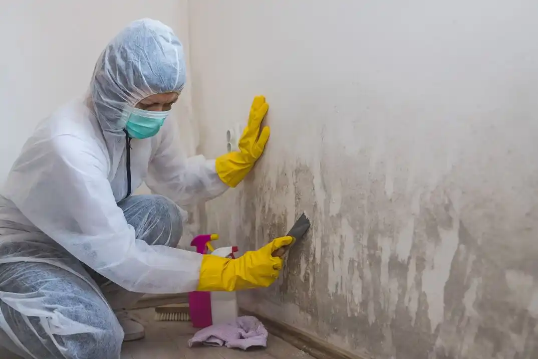 water damage restoration service South Atrisco